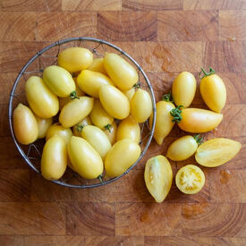 Cream Sausage, Tomato Seeds